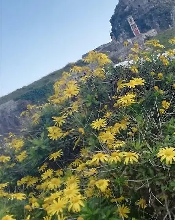 Διαμέρισμα Domus Stratus Corfu Town Corfu (city)